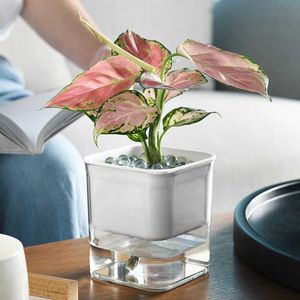 Plantadores vasos camada auto rega plantador casa jardim planta vaso de flores com recipiente de água rega automática vaso de plantas hidropônicas