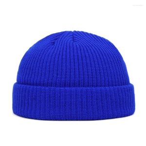 Beanies Men's Beanie Watch Hat with loll-up Edge