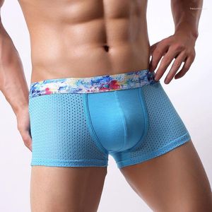 Unterhosen Sexy Männer Unterwäsche Baumwolle Mesh Boxer Shorts Mann Atmungsaktive Low Rise U Konvexen Beutel Ceuca Calzoncillos M-XXL