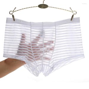 Cuecas masculinas cuecas boxer listras malha masculina transparente cintura baixa ultrafina gelo seda sexy respirável