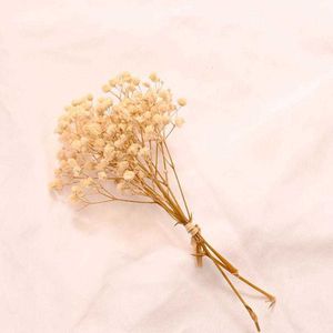 Dried Flowers A Bunch Of Mini Natural Flower Baby Breath Fresh Preserved Bouquet Decor Photography Photo Background Wedding Decoration