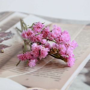 Flores secas naturais preservadas esqueça-me não flor pequeno buquê decoração vela material diy resina epóxi não-me-não