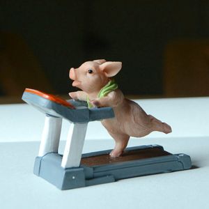 Obiekty dekoracyjne figurki kreatywne urocze ozdoby świni sportowy królicz wiewiórki kota figurki Ćwiczenia serii żywicy rzemieślnicze dekretopy 230626