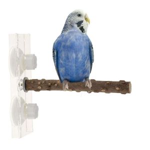 Podnośnik z miotu Parrot Parrot Stand Stand Stand Portable Bird Playground Portable Ssact Cup okno i pod prysznicem zabawki