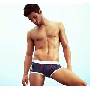 Cuecas Sexy Wild Roupas íntimas masculinas de algodão estampado de cor pura respirável masculino casual 1235