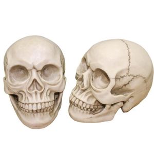 Украшение для вечеринки Skl Head Halloween Scary Resin Realistic 11 Human Anatomical Learning Модель скелета Horror Drop Delivery Home Gard Dh4Cu