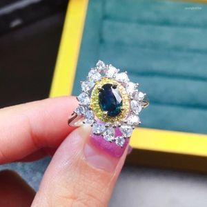 Cluster Rings Luxo Full Diamond Color Separation Simulation Sapphire Caibao Opening Ring Feminino Tiktok Online Red Broadcast Jewelry