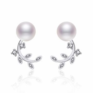 Populära flickor Cz Leaf Pearl Ear Studs smycken Rose Gold/Platinum Plated Silver Stud Earings For Date OL Fashion Jewelry