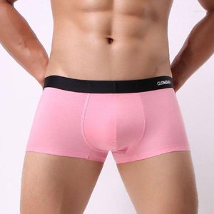 Cueca Sexy Cueca Masculina Boxer Shorts Calcinha Modal Homem Respirável Cintura Média U Convexo Bolsa Cueca Calzoncillos M-XXL