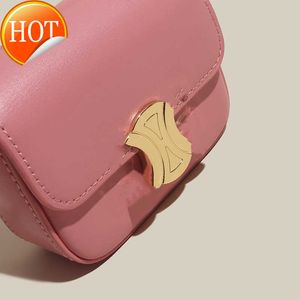 Designer Bags Triumphal Arch Mini Tofu Bag Women's Leather Small Square French Stick One Shoulder Messenger Zero Purse Factory Direct Sale Low Price