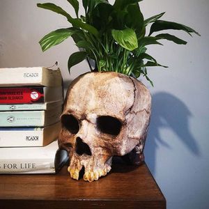 Dekorativa föremål Figurer Harts Hantverk Human Tooth Skull Fossils Flower Pot Teaching Skeleton Model Planter Halloween Home Office Skull Pot 230628