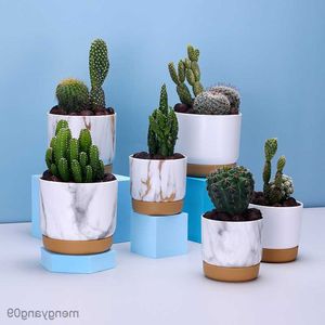 Planters Pots 3pcs Succulent Plant Pot Double-layer Succulent Green Dill Round Double Layer Green Plant Flowerpot Succulent Small Flower Pot R230621