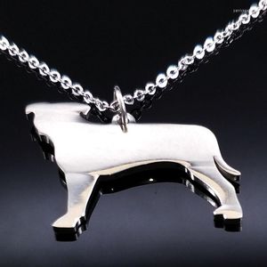 Hänge halsband rostfritt stål hundhängare vän tag chocker halsband för kvinnor smycken acero oxidable collar n954s07