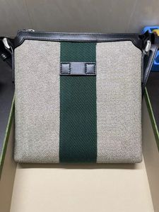 Сумка-мессенджер высшего качества, роскошная дизайнерская сумка, продвинутый материал из искусственного холста, маленькая сумка-мессенджер, бесплатная доставка 038