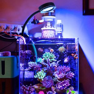 Aquariums Lighting Aquarium LED Light Marine Coral SPS LPS Sea Reef Tank Blue White Nybörjare 90V240V för 3050 cm Seawater Tank 230627