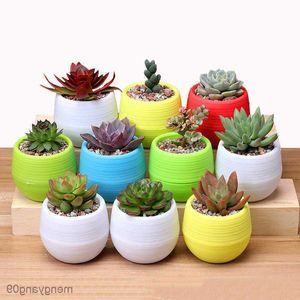Colorful Round Plastic Mini Flower pot for Home and Office Decor - Ideal for Succulents and Garden Plants (R230621)