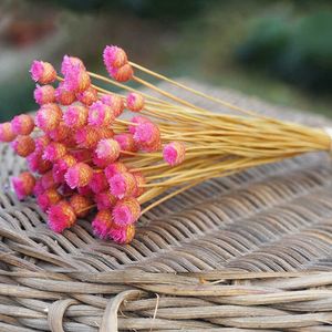 Getrocknete Blumen, 50 Stück/30 cm, natürliche Mini-Happy-Display-Blume, DIY, Hochzeit, Party, Weihnachten, Heimdekoration, Zubehör, Mini-Blumen