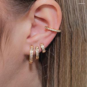 Hoop Küpeler 2 ADET Paslanmaz Çelik CZ Zirkon Küçük Kadın Erkek 14mm 12mm 10mm Huggie Ince Kıkırdak Küpe Piercing Takı