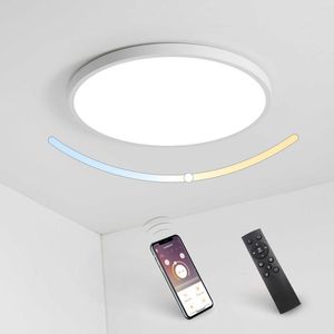 Plafondverlichting Smart Light Met Afstandsbediening 24W 2400LM APP Dimbare Lamp Binnenverlichting Voor Woonkamer Slaapkamer