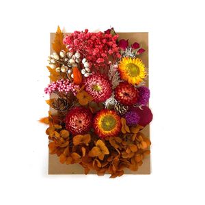 Flores secas coloridas naturais prensadas para artesanato, folhas em massa, velas diy, decoração de resina epóxi