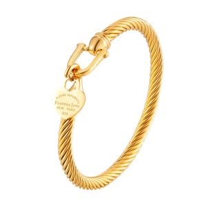 Bangle 361L Brzeszczo stali nierdzewne Brzechlety Charm Gold Kolor Drut kabla Mankiet Bransoletka dla kobiet dla kobiet biżuteria 230627