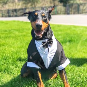 Hundebekleidung, Hochzeitsanzug, große Kleidung, Smoking, großes formelles Kleid, Welsh Corgi, Samojede, Husky, Golden Retriever, Dobermann, Kleidung 230628