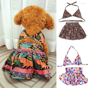 Abbigliamento per cani Costume da bagno bikini sexy Vestiti estivi per animali domestici per cani di piccola taglia Intimo per imbracatura Kilt Set Gonne da spiaggia Abbigliamento femminile