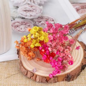 Dried Flowers 30Pcs Mini Daisy Small Star Floral Bouquets Vivid Beautiful Natural Plants Wedding Supply Home Decor DIY Crafts