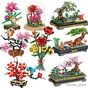 Blocchi Bouquet di fiori Piante in vaso Piante grasse Bonsai Albero Edifici Blocchi Giardino Modello creativo Giocattoli per adulti Regali R230629