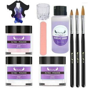 Kits de arte para unhas múltiplas cores mergulhando conjunto de arquivos em pó suprimentos para manicure