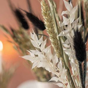 Getrocknete Blumen, natürliches Hasengras, schwarzer Blattstrauß, flauschiger Raum, Phragmites, Heimdekoration, Weihnachtsdekoration