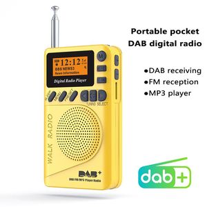 Портативный радиоприемник Dab/dab + цифровой FM-радиоприемник, динамик, ЖК-дисплей, поддержка воспроизведения Tf Mp3, радиодинамик с перезаряжаемой батареей