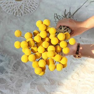 Dried Flowers Flower Natrual Gypsophila Golden Orbs Eucalyptus Preserve Floral Plant Bouquet Wedding Party Home Backdrop Decor DIY Craft