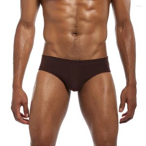 Unterhosen AIIOU Sexy Männer Unterwäsche Slips Hohe Qualität Big Penis Pouch Design Baumwolle Für Mann Bikini Mode