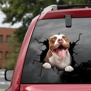 Wrap Prezent Animal Dog Car Sticker Pet Funny Puppy Decorations Dekoracje okienne naklejki