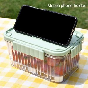 Geschirr-Sets 1500 ml 1 Set Obst-Aufbewahrungsbox mit Griff Bento Praktischer Kühler Lunch-Container Outdoor-Zubehör