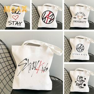 Sacos de noite Stray Kids SKZOO ombro feminino portátil supermercado reutilizável compras lona branca bolsa de armazenamento bolsas casuais 230630