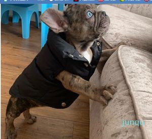 Cappotto invernale Abbigliamento caldo per cani Gilet impermeabile antivento per animali domestici Giacca per cuccioli per il freddo con cappelli per cani di taglia piccola e media Bulldog Nero XL A338