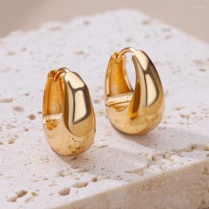 Orecchini a cerchio 316L Colore in oro in acciaio inossidabile per donne Circle ovale Elegante Oresco Gioielli National Dropi