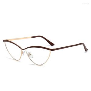 Solglasögonramar YH5660 Fashion Metal Cat Eye Anti-Blue Light Plat Glasses Frame For Women Korean Face Display Small Can Match Myopia