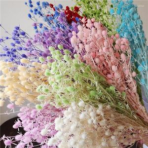 Dekorativa blommor bevarade alla hjärtans fruktt torra blommor arrangemang naturligt diy material bröllop bord vas dekor hemmakontor parti parti