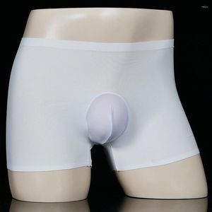 Underbyxor män boxare underkläder sömlösa sexiga ultratunna genomskinliga trister tights mantel kulpås silkeslen intim underkläder