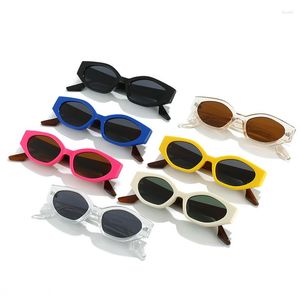 Occhiali da sole Accessori moda Color-block personalizzati Montatura piccola Cat's Eye UV400 Occhiali neri casual per adulti