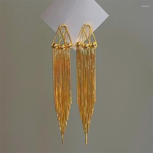 Brincos de pino estilo europeu e americano 18k ouro linha oca borla com temperamento personalizado longo para joias femininas.