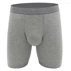 Cuecas masculinas boxers shorts modal cueca calcinha sólida homem respirável u convexo bolsa longa perna ropa interior hombre