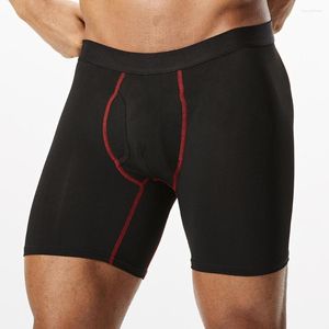 Underbyxor 2023 Style Box Men trosor Boxer Long Underwear For Man Shorts och Mesh Homme Luxury Boxerhomme Gym Gay