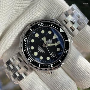 Wristwatches STEELDIVE SD1975 Mens Automatic Watches Men Dive Watch 300m Waterproof Mechanical Wristwatch C3 Luminous Clock Sapphire Mirror