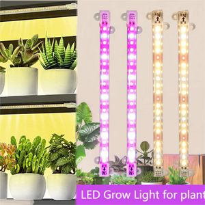 LED GROW Light Tube för inomhusväxter, USB -driven ansluten LED -rör Grow Light 25cm Forindoor Plants Plantor Flower Grow Tent Box LED Full Spectrum Phyto Lamp