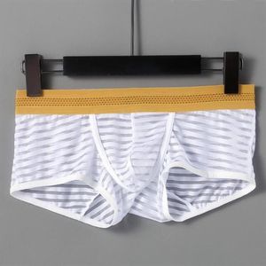 Underbyxor mäns sexiga boxare nylon se genom underkläder nät shorts transparent boxare bekväma botten trosor manliga underkläder298