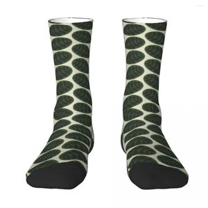 Calzini da uomo Orla Kiely Botanica Green Harajuku Calze di alta qualità Accessori lunghi per tutte le stagioni per regalo di compleanno unisex